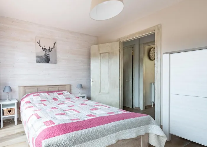 Le Repere Des Marmottes